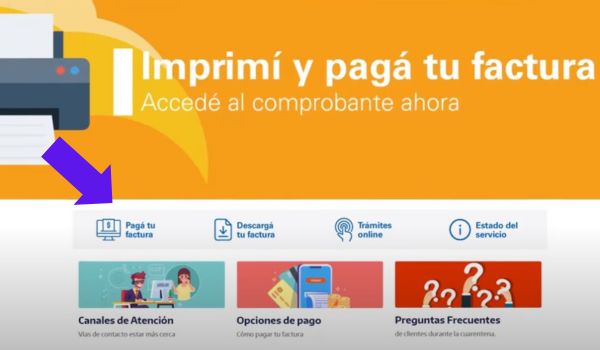 Consultar factura Edesur - Paso 2